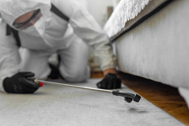 Professional Pest Control technician working in Gallatin, TN